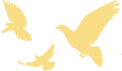172401vgfignnsyjfq2kjj.png