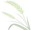 120039zaelcoracaceykaq.png