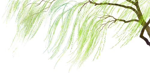 101135s4tff5ppefp36x3a.png