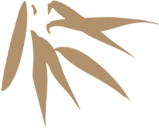 101626atzii5yr561b5bfz.png
