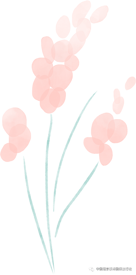 182321efxxm2as5xsp5r53.png
