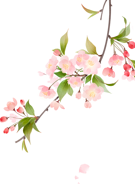 173035ezopancn3pr03fpp.png