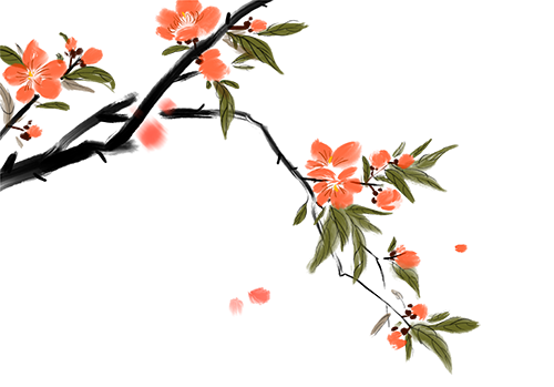 172215ddydxw08rqnyur5m.png