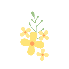 151341sf13abddbcgbdzq8.gif
