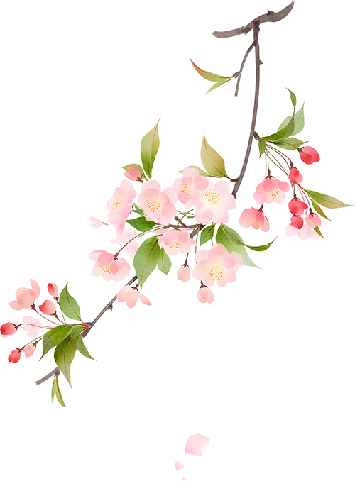 170620sb9psscshh3qbcs2.png