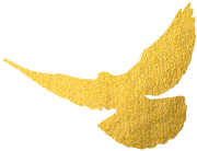 164114fxp7n9b7pq7q7px4.png