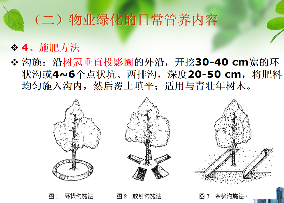 164346ux8pxtcgli8kxijw.png