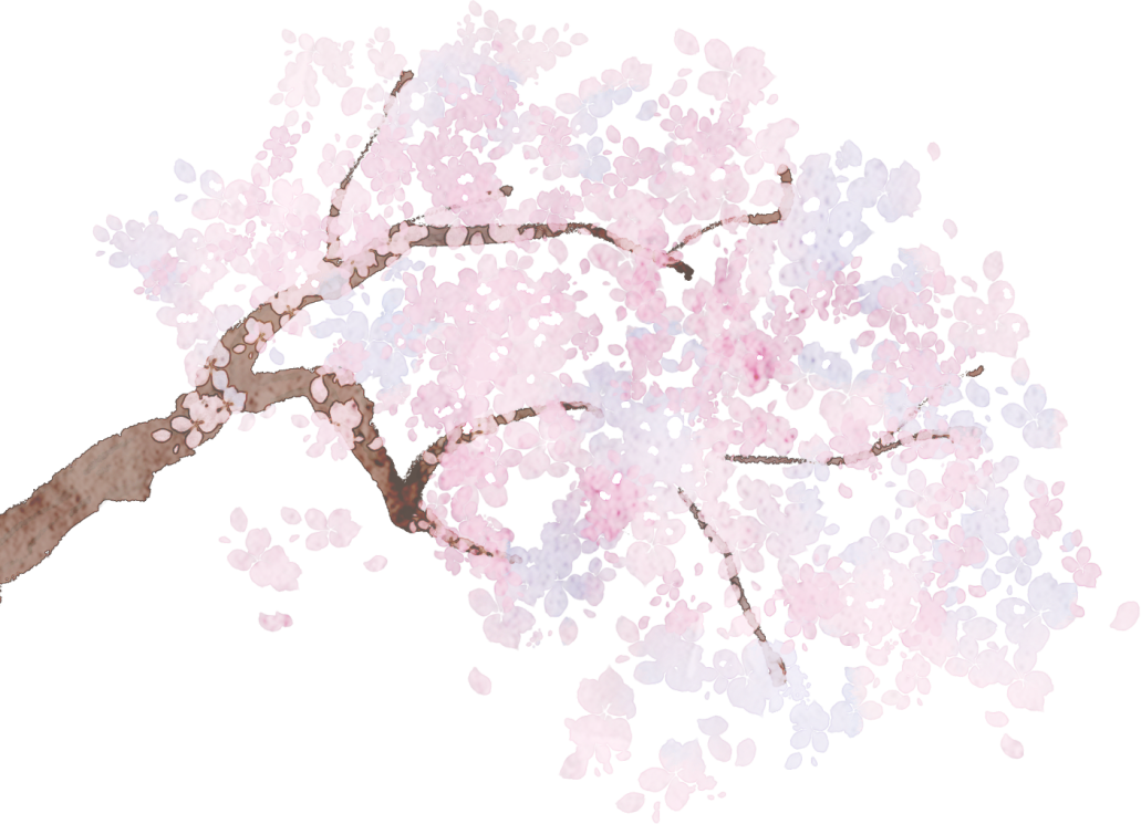 164807w8b8cabace1hjrb1.png
