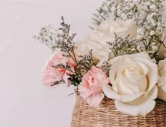165414ocq65a8nzmhjy6we.jpeg