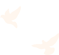 164502tw5lawey5j00lnq4.gif