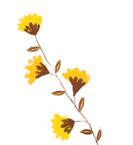 175944esjw7m6izyulpkkt.png