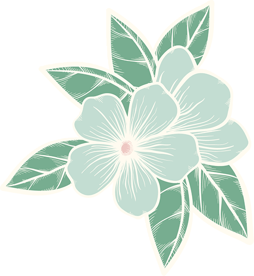 180019ixnx520dpxr4i110.png