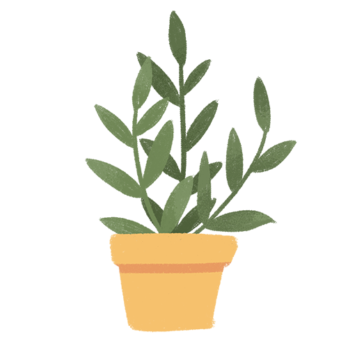 171334np6f356y5k5x3h63.png