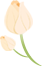 165857zzxa1zxebx34s481.png