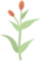 181228db9caftzctth9c1n.png