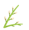 104516ncxzwyyn7yssgknk.gif