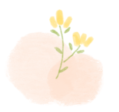 165303ini4ec471z8833n4.png