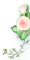 171145e03l7lrs3r4e44ms.png