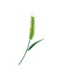171339j0rafunclfzzuger.gif