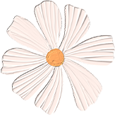 173355ckdek0o044pnu0qn.png