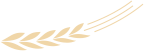 171836r5fdss5jjyaxcnt5.png