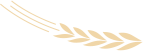 171837dhd044w0p5ihoqgj.png
