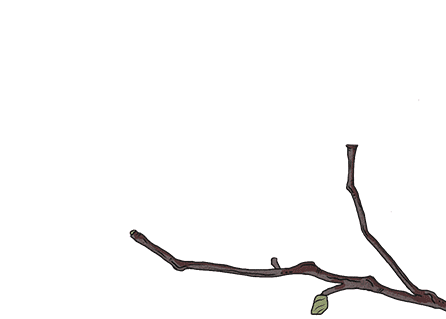 102329mya8kza4hduhvqk4.gif