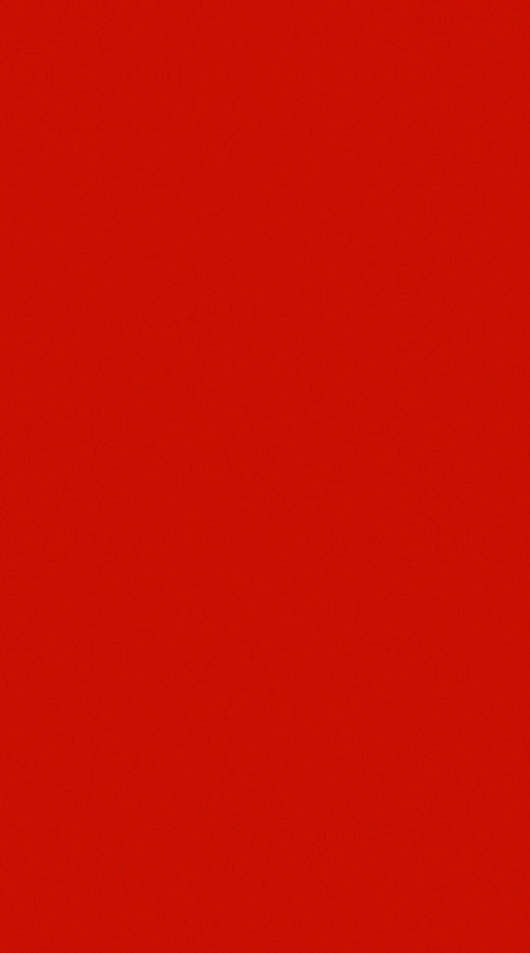 164027gq2gprlpp3ppozqg.jpeg