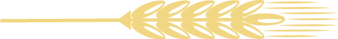 175442b51e56oldwk4t6ol.png