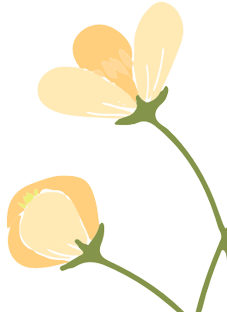 163013vzm11amj9sskls1j.png