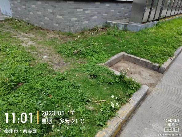 085735z2c8sf38208fsscs.jpeg