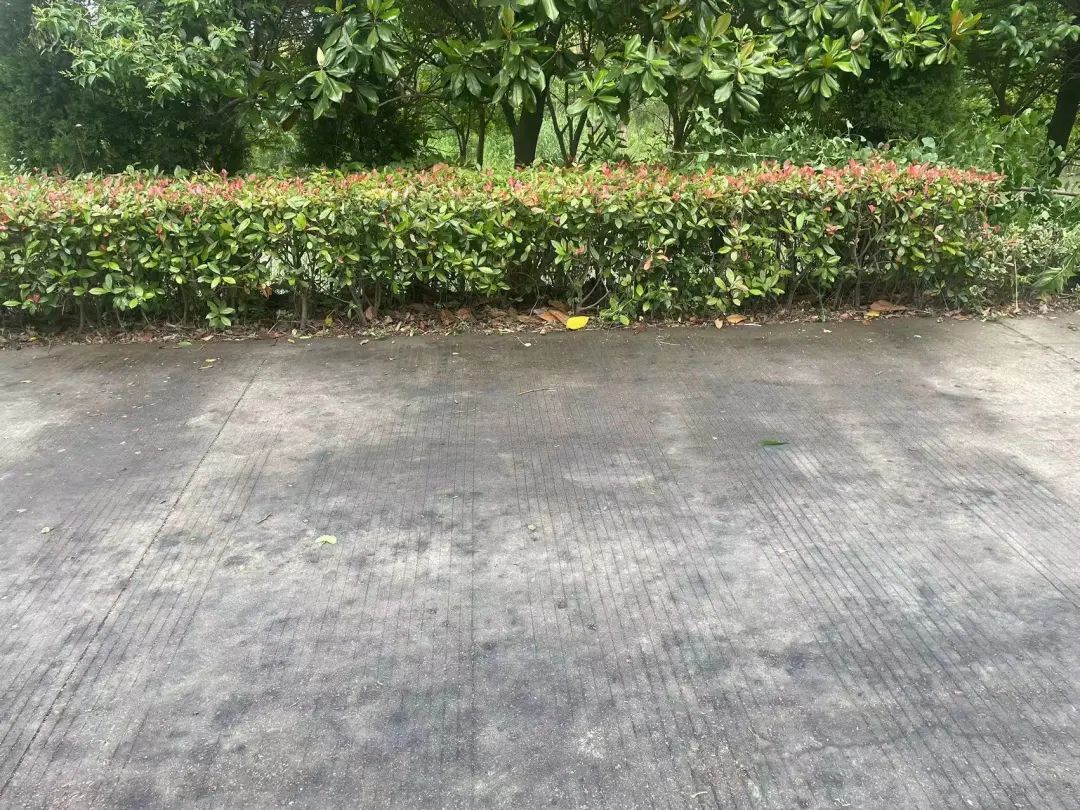 084626vi9nfkt1nkkilj9q.jpeg