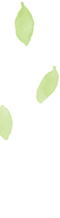 175034si80o077dms6i90s.gif