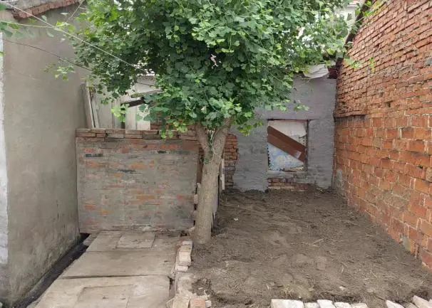 093518p3ai3gu21sgzjwj2.jpeg