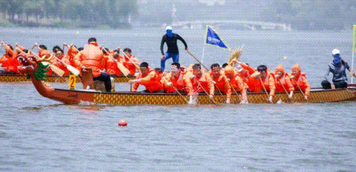 171642b0r233mbb03qwj6b.gif