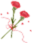 172142hkdk4sos224onpxp.png