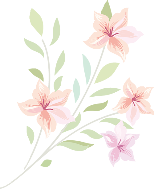 162704qyvy65icv4wl64lv.png