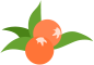 174744oc80o05x5ay51fy8.png