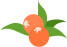 174744hijqo5z7282dj7j1.png