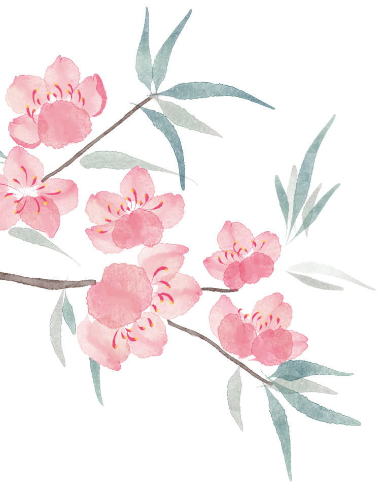 172621qv4nuifsvf8kj8cw.png
