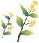 163914u3fz62e2twuww3ap.png