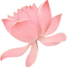 175642z95fnz255w2xfbun.png