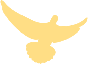 175549ijvcfgh2gy2zyf2d.png