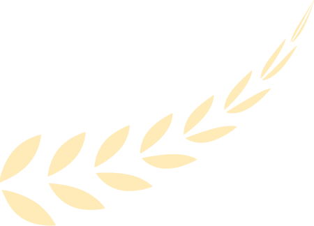 174131ydq32t2zu3mpntq2.png