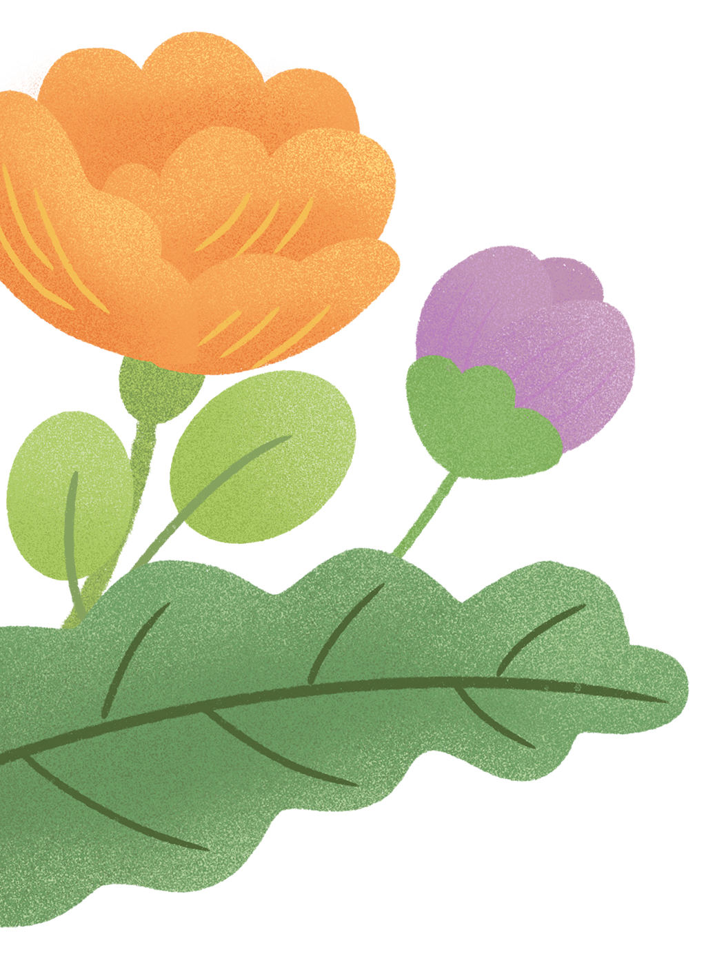 174342ajvvkfv65u18lvf8.png