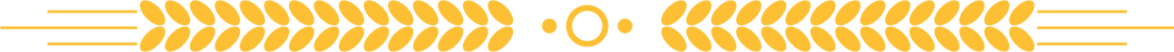 160734lvlzmvvz6zvbw69l.png