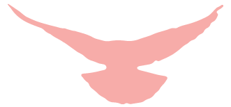 173810frnftnk1k9fjtlrq.png