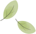 101129jdy4v8wnd8805dvw.png