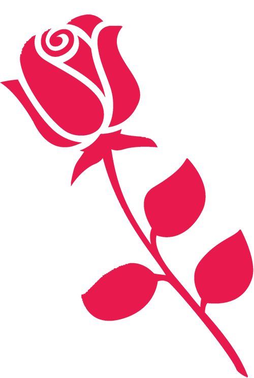 165437ppu63l3febllraju.png