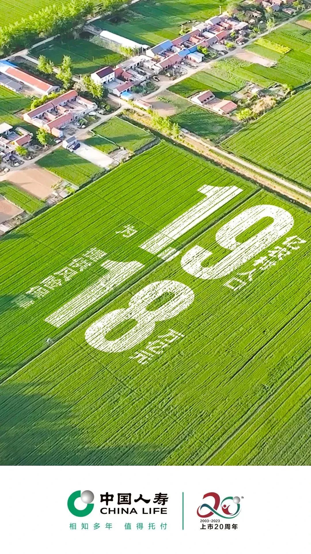 160329hxnlq69pizik6k5r.jpeg